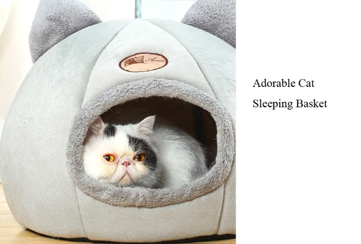 Cama para Gatitos Regalones
