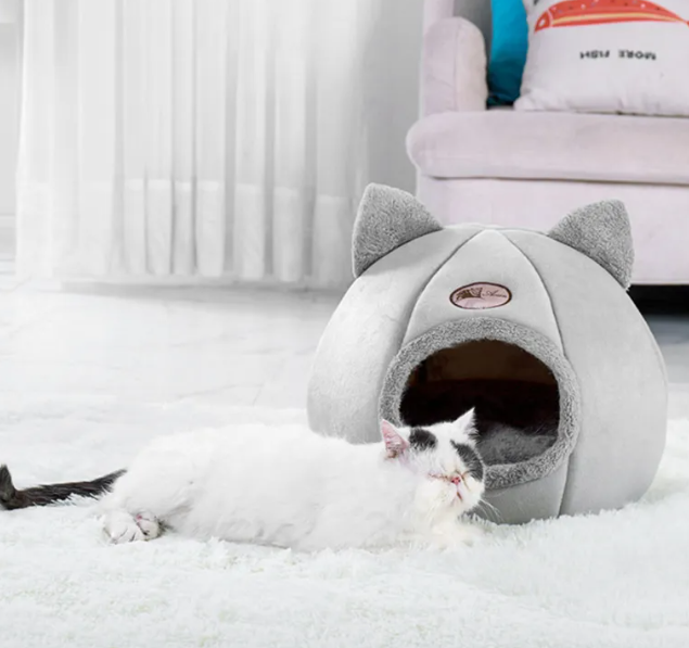 Cama para Gatitos Regalones