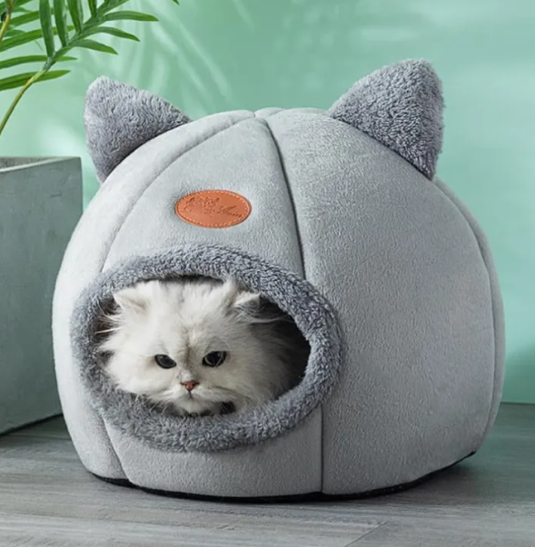 Cama para Gatitos Regalones